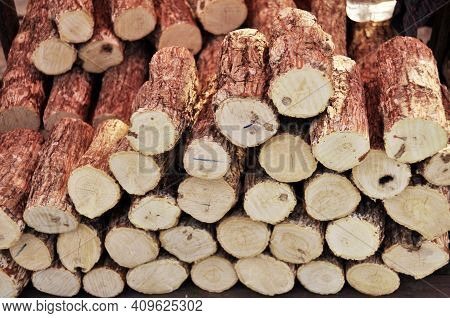 Thanaka Wood Timber For Burmese People Use Making Thanaka Paste Made From Ground Bark For Sale At Lo