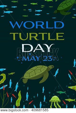 World Turtle Day In May. International Event. Save Oceans And Seas. Ecological Problem. Environmenta