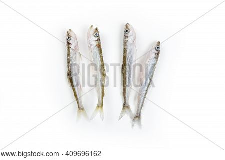 Deep Frozen Raw Smelt Fishes With Ice Pieces Isolated On White Background. Top View, Copy Space. Osm