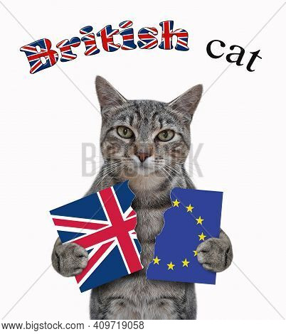 A Gray Cat Holds A Banner Torn In Half. One Part Is A Flag Of Great Britain And The Second Is A Flag