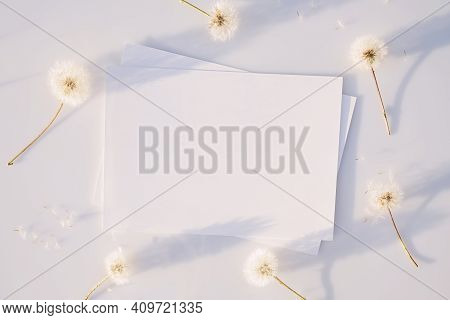 Mockup Poster Or Flyer For Presentation, White Sheets Of Paper With Fluffy Faded Dandelions And Shad