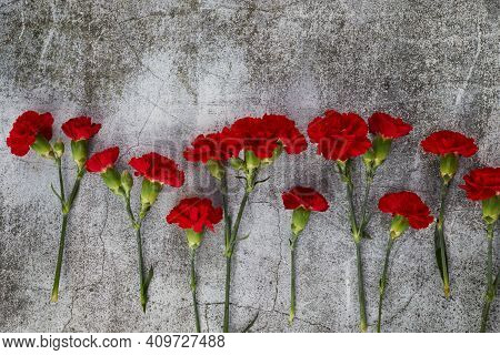 Beaytiful Carnation Flowers On Grey Background. Top View