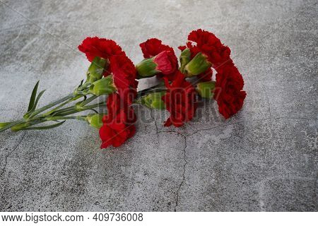 Beaytiful Carnation Flowers On Grey Background. Top View