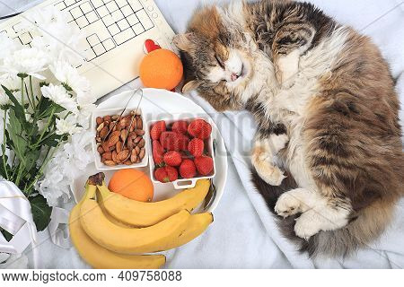Healthy Breakfast With Ingredients, Cozy Home Office With A Sleeping Cat. Strawberries, Nuts And Fru