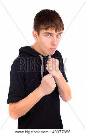 Teenager Boxer