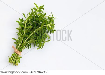 Fresh Paddy Rice Herb On White Background.