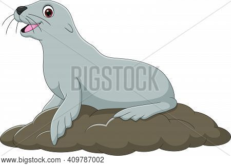 Vector Illustration Of Cartoon Funny Seal On White Background