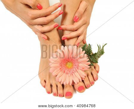 Pedicure e manicure rosa bela
