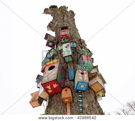 alte toter Baum Stamm Bunte VÃ¶gel nisten Kasten hÃ¤ngen
