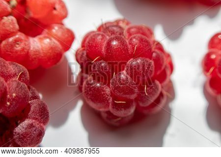 Close-up. Red Sweet Fresh Raspberry Berries Close-up. . Macro Photo.