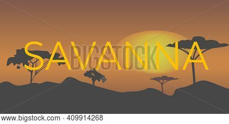 Text Savana Sunset Under Color Vector Illustration