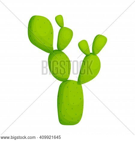 Cactus Succulent Plant In Cartoon Style Isolated On White Background Stock Vector Illustration. Dese