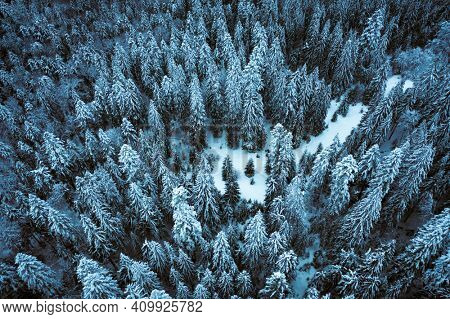 Aerial drone top down fly over winter spruce and pine forest. Fir trees in mountains valley covered with snow. Landscape photography