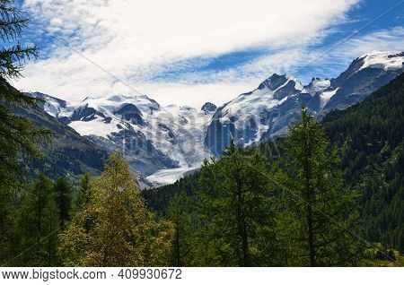 Morteratsch Glacier In The Canton Of Grisons Engadin With Green Forest In The Foreground. Swiss Alps
