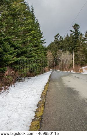 Snow On The Side Of The Tree Lined Road At Pedder Bay, Vancouver Island, British Columbia In Winter