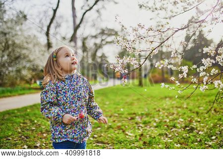 Adorable Little Girl Enjoying Nice And Sunny Spring Day Near Apple Tree In Full Bloom. Outdoor Sprin