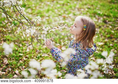 Adorable Little Girl Enjoying Nice And Sunny Spring Day Near Apple Tree In Full Bloom. Outdoor Sprin