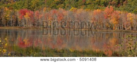 Maine Fall heijastuksia