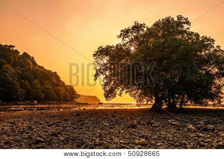Tropical beach in ebb time on sunset background