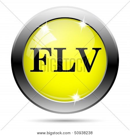 Flv Icon
