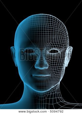 Cabeza transparente de la persona