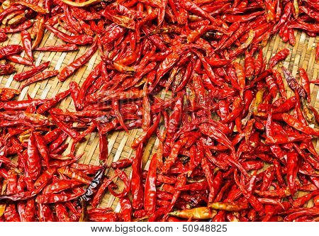 Red Chili peppers on basket