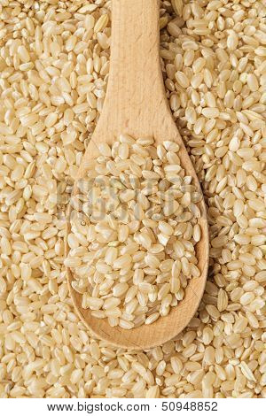 Brown rice and teaspoon