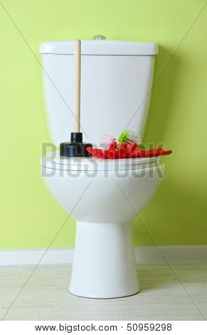 White toilet bowl and cleaner things in a bathroom