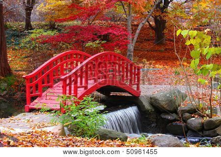 Beautiful Japanese garden in Michigan in autumn time