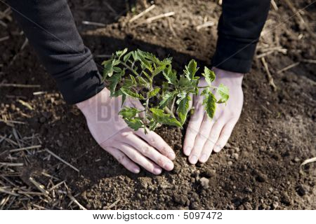 Garten