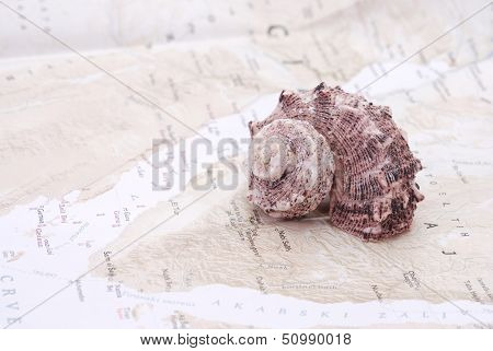 Sea shell on the world map