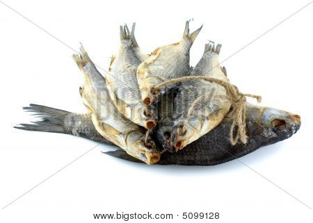 Fem tørrede hav skalle fisk på rebet og brasen fisk