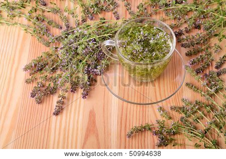Thyme And Tea In Cup