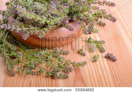 Thyme Flowers