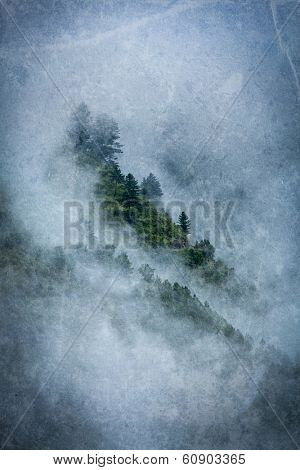 Vintage retro hipster style travel image of peacful serene scenery - mountain forest trees in clouds in Himalayas with overlaid grunge texture. Kullu valley, Himachal Pradesh, India