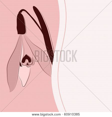 card with snowdrops