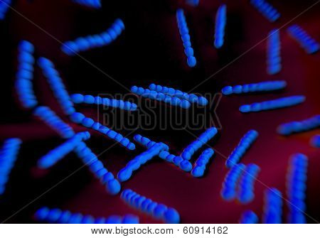 Streptococcus pneumoniae, bacteria artwork