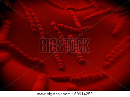 Streptococcus pneumoniae, bacteria artwork