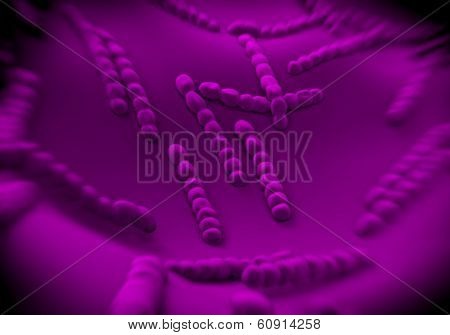 Streptococcus pneumoniae, bacteria artwork