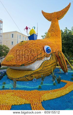 Citrus Exhibition At The Lemon Festival Of Menton