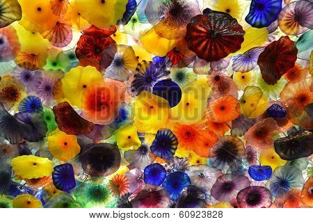 Color Patterns