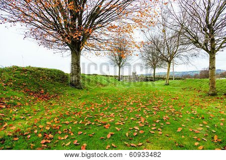 Kilcrea, Ireland - November 28: Kilcrea Friary And Castle On November 28, 2012 In Co.cork, Ireland