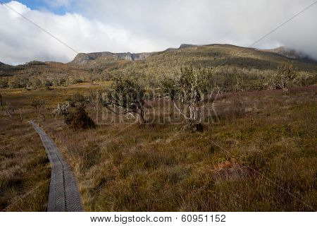 Track to Cradle Falls