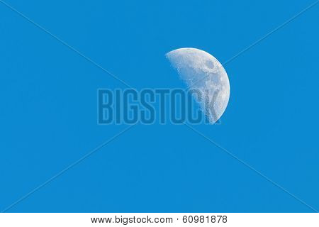 Half Moon Phase During Day