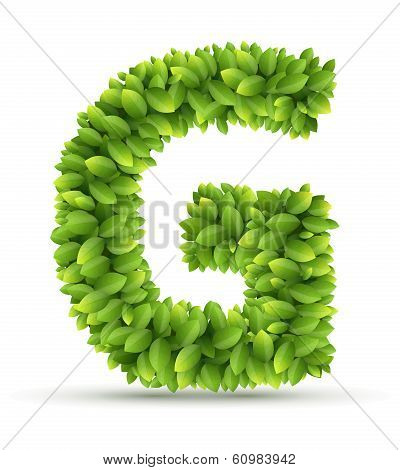 Letter G,  vector alphabet of green leaves
