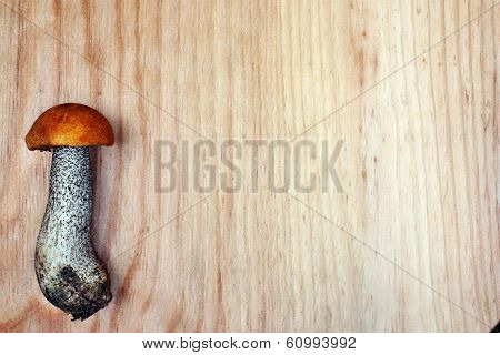 Table And Mushroom