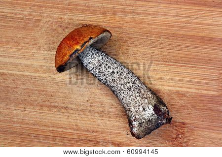 Mushroom