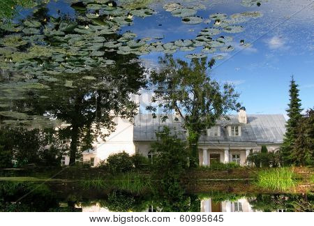 reflection of nature in pond of botanic garden in tartu, estonia