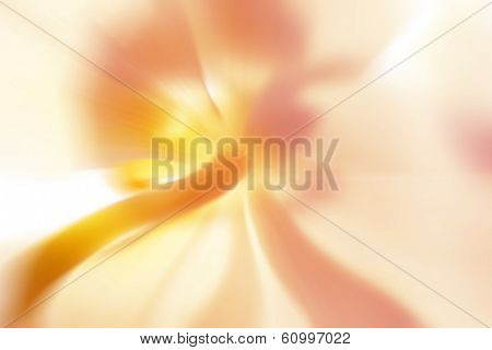 abstract flower,  backlited. close-up shot with some blur added
