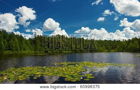 summer scene at lake Suur Kalajarv, Estonia
